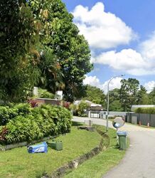 Leedon Park (D10), Detached #532085651